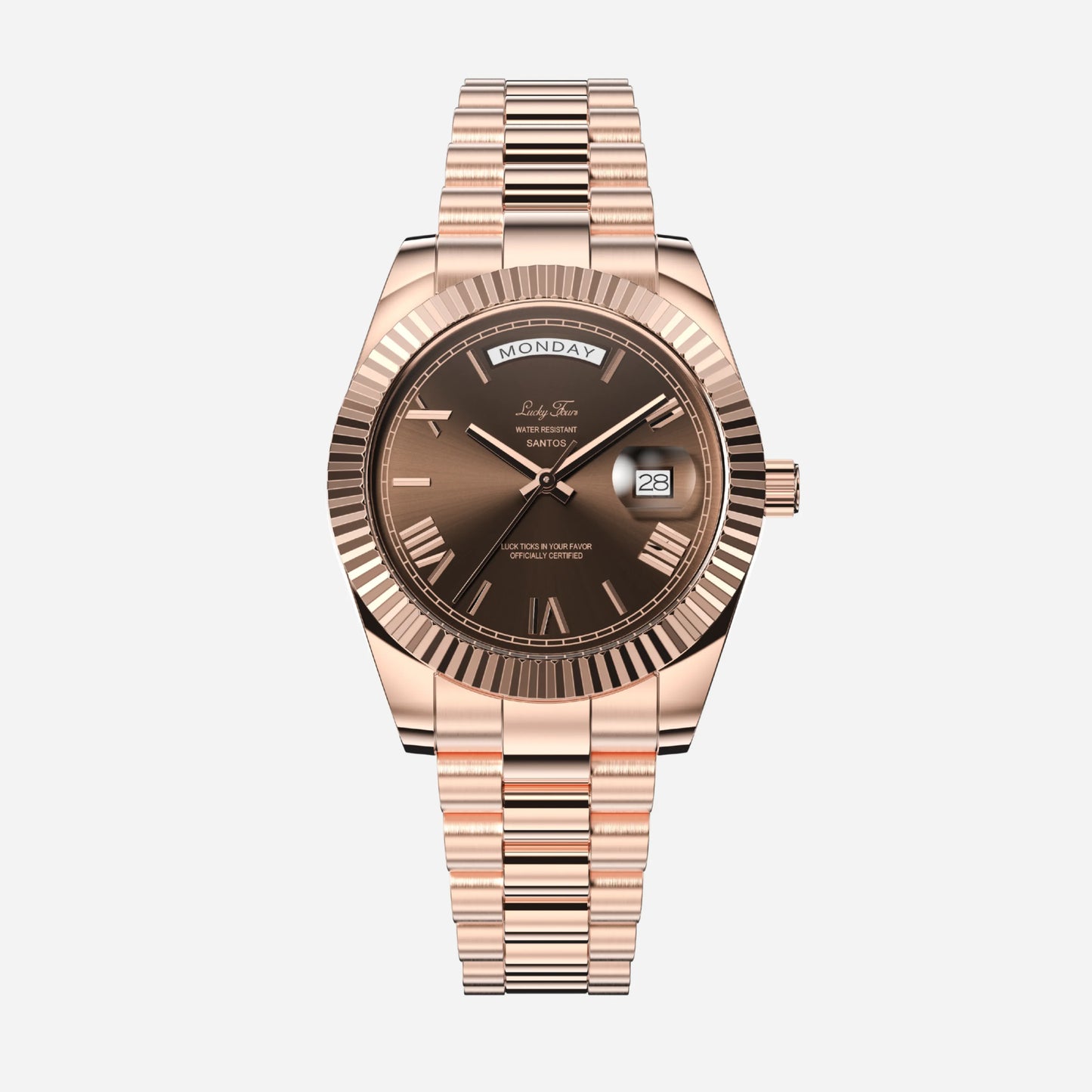 Luxury Mechanical Watch 04